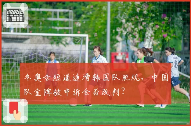 冬奥会短道速滑韩国队犯规，中国队金牌被申诉会否改判？